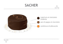 Carica l&#39;immagine nel visualizzatore di Gallery, Sacher
