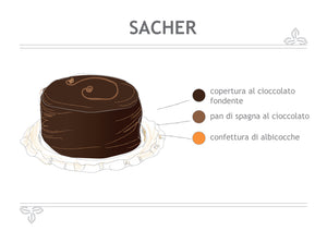 Sacher